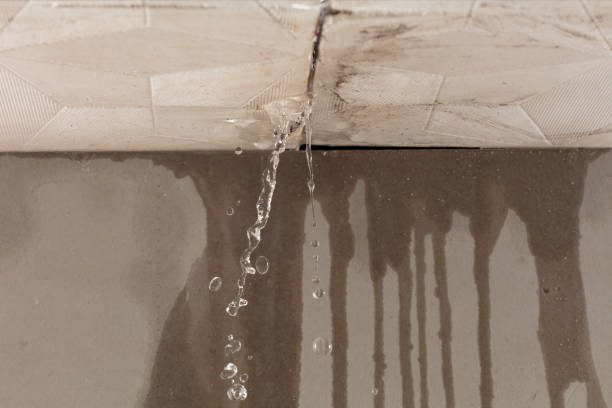 Professional Burst Pipe Cleanup technician working in Providence, UT